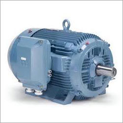 Heavy Duty Electric Motors