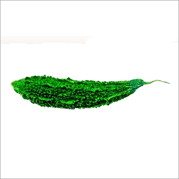 Bitter Gourd