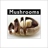 Fresh Mushrooms