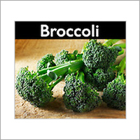 Fresh Broccoli