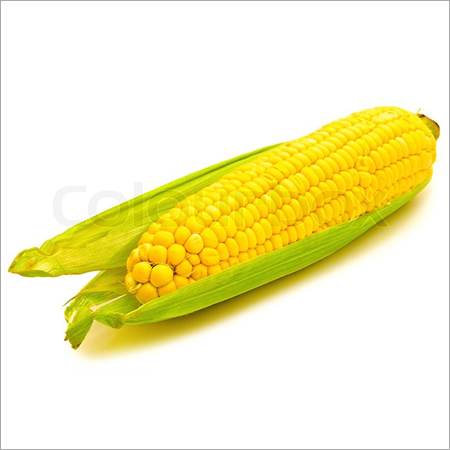 Yellow Corn
