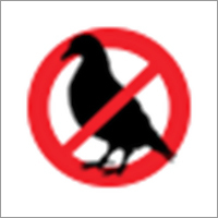 Pigeon Control Services