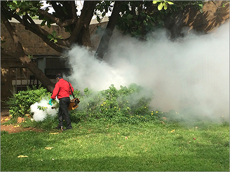 Fogging Treatment Services
