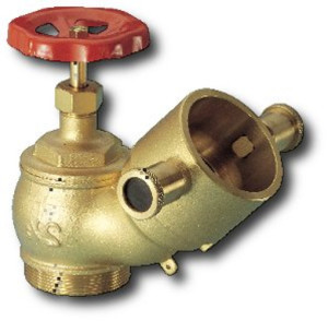 Fire Hydrant Valve