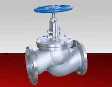 SDNR Globe Valves