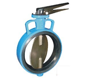 Lined Butterfly Valve