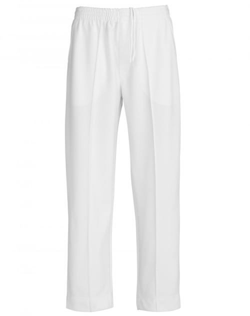 Cricket lower