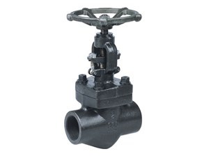 जाली इस्पात ग्लोब वाल्व