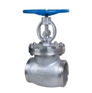 Globe valve butt weld end 2