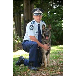 Commando Security Services - High-Tech Equipment Customizable Plans Trained Commandos 24/7 Support Reliable Service for Commercial & Industrial Security