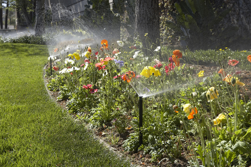 Foggers And Micro Sprinkler System - Plastic Material | Ideal for Climate Control, Humidity Maintenance, Easy Installation, Reliable Performance