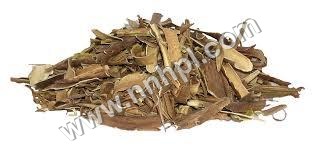 Willow Bark Extract