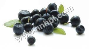Acai Berry Extract By NATURE & NURTURE HEALTHCARE PVT. LTD.