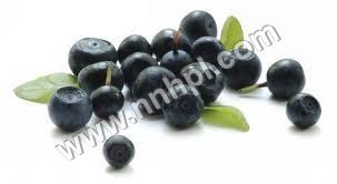 Acai Berry Extract