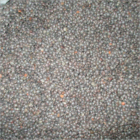 Whole Polish Masoor Dal