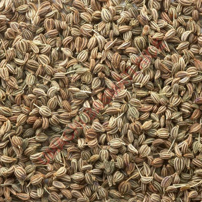Carom Seeds