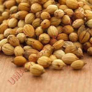 Coriander Seeds