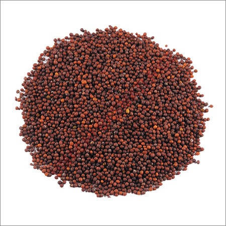 Mustard Seeds
