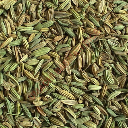 Green Fennel Seeds