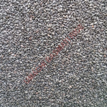 Black Sesame Seeds