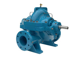 Horizontal Split Case Pumps
