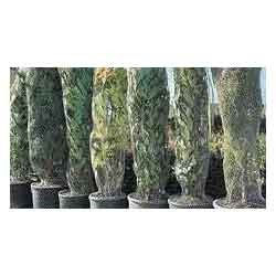Plants Packaging Nets