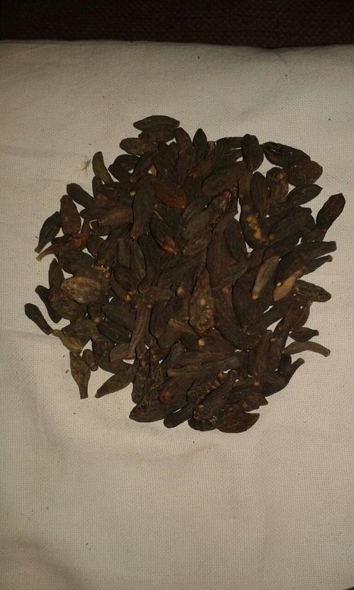 Small Black Himej