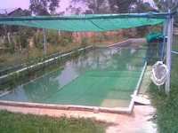 Swimming Pool Shade Nets - Pp Material, Customizable Size, Green Color | Durable, Uv Resistant, Tear Resistant, Eco-friendly Debris Barrier