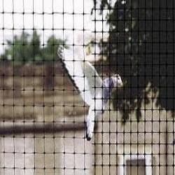 Pigeon Protection Net