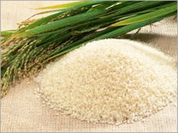 Raw Rice