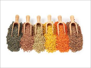 Indian Pulses