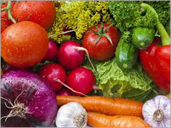Fresh Vegetables