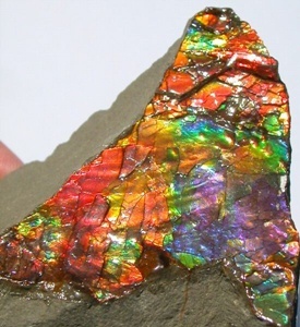 Ammolite Rough