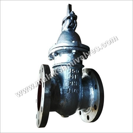SS Sluice Valve