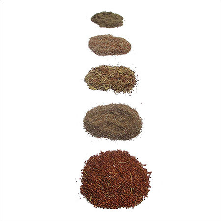 Cleaning Of Seeds