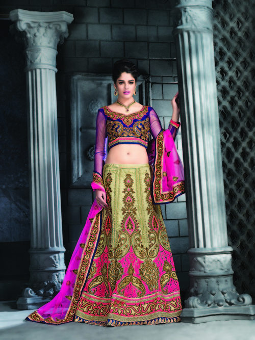 Glamorous Lovely Lehenga Choli