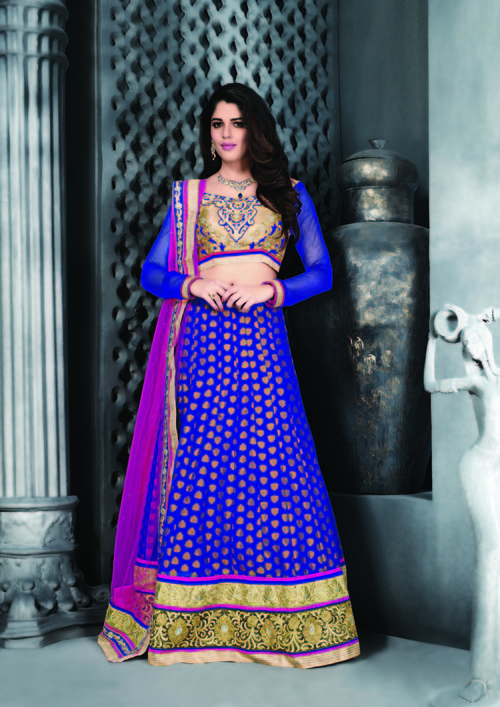 Gorgeous Lovely Lehenga Choli
