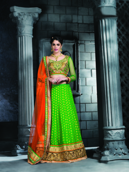 Stunning Lovely Lehenga Choli