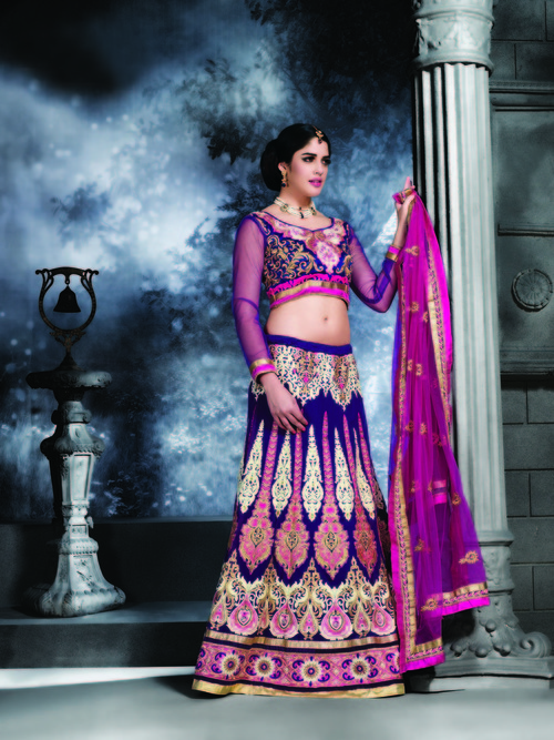 Beauteous Lovely Lehenga Choli