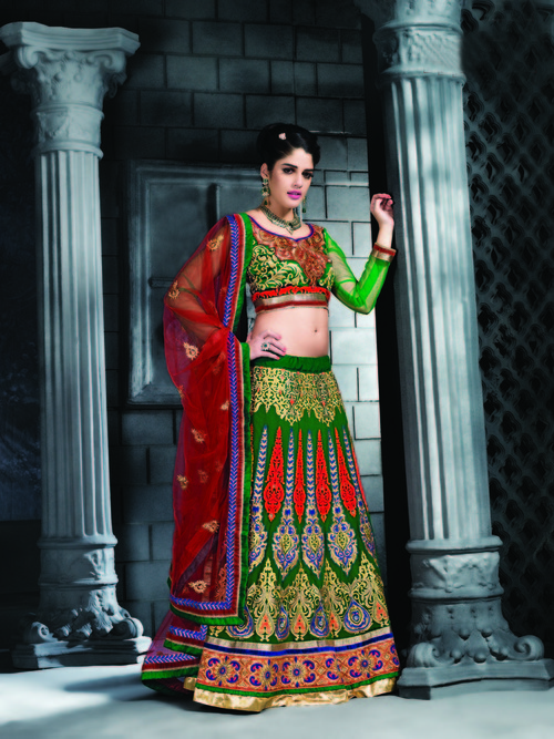 Charming Lovely Lehenga Choli