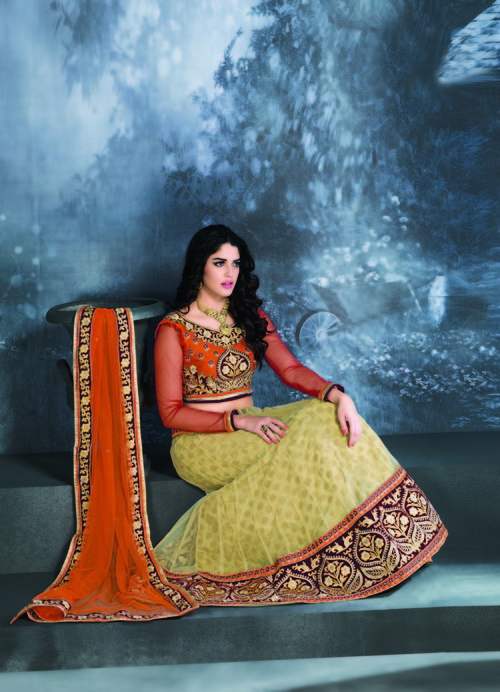 Delightful Lehenga Choli