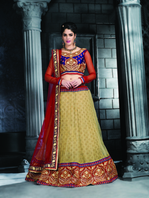 Elegant Lovely Lehenga Choli