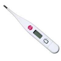 Digital Thermometer
