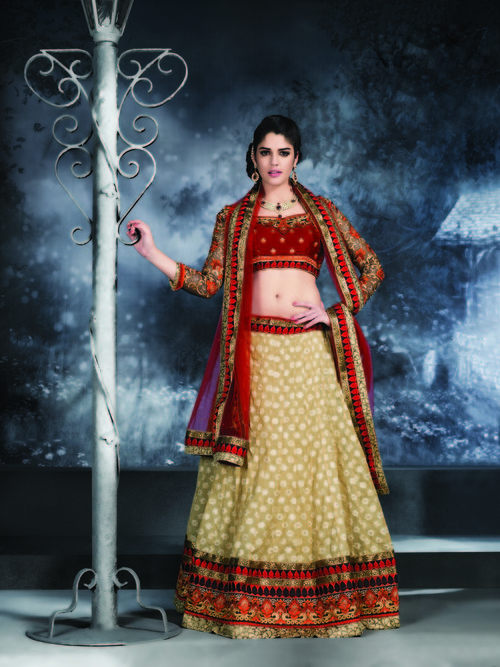 Lovely Lehenga Choli