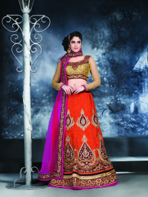 Fascinating Lehenga Choli 