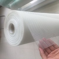 Fiberglass Mesh Cloth