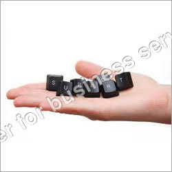 Business Consultancy Services