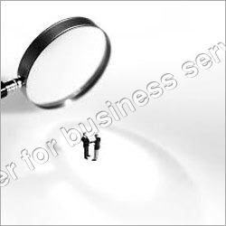 Business Guidance and Assistance