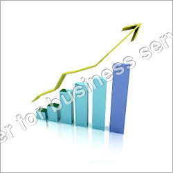 Business Guidance and Assistance Services