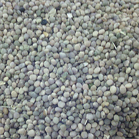 Guar Gum